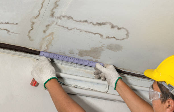 Reliable Basement Water Removal contractor in Edmonds, WA by Water Damage Irwin